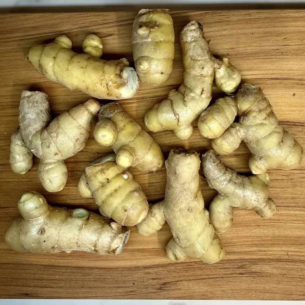 Black Turmeric Rhizomes – Curcuma caesia (Kali Haldi)