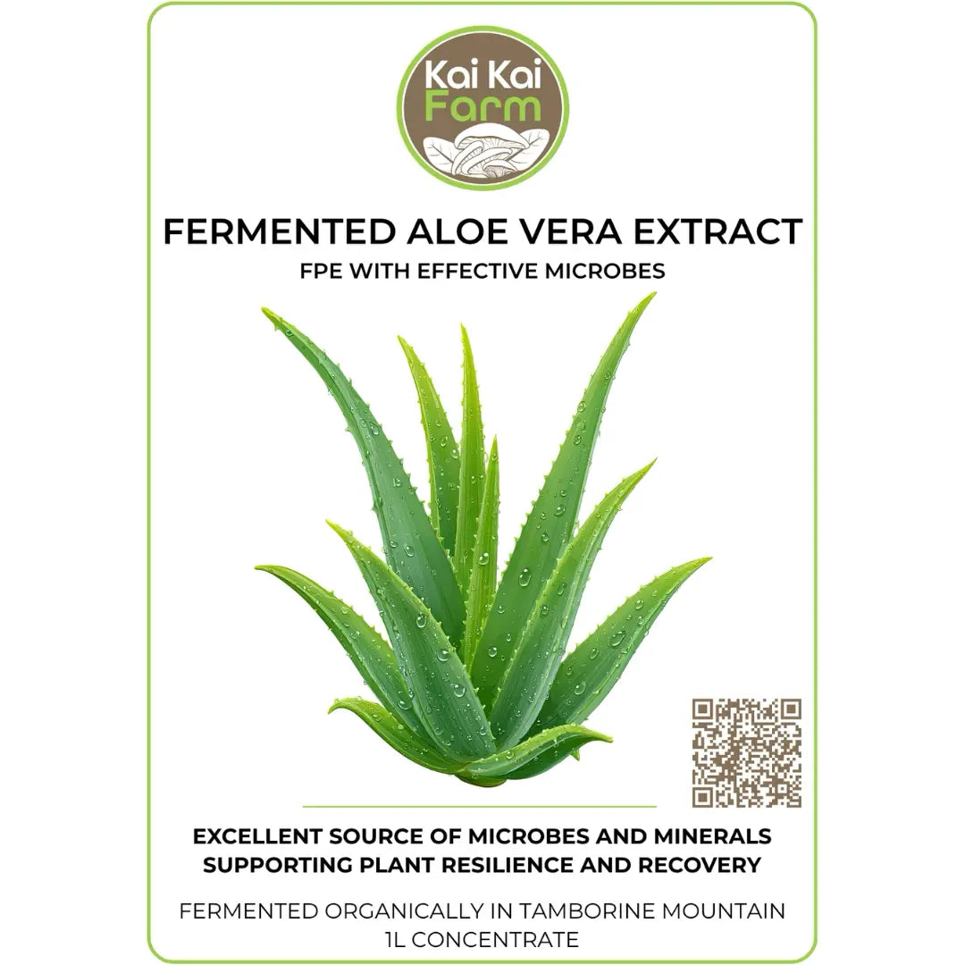 Fermented Organic Aloe Vera Extract