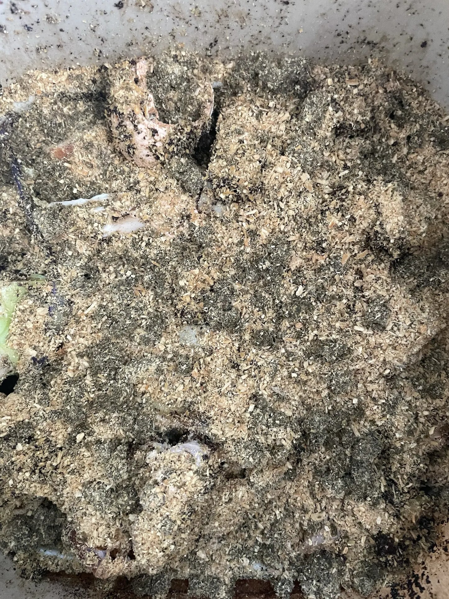 Close up of Bokashi bran mix fermenting food waste in a Bokashi bin