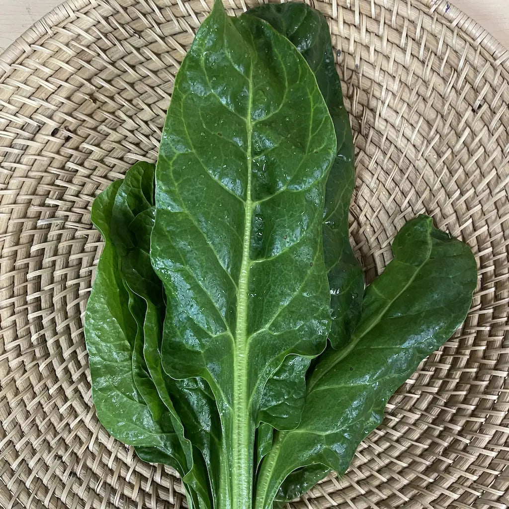 Bunch Of Perpetual Spinach - Organically Grown and No Spray - Kai Kai Farm