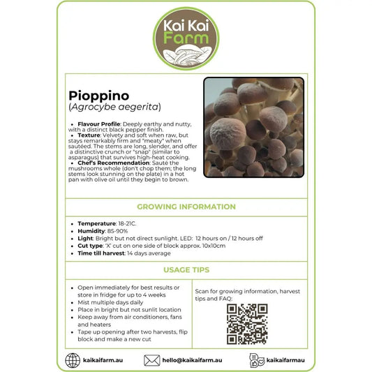 Pioppino Mushroom - 2.2KG Ready To Fruit Block Kai Kai Farm