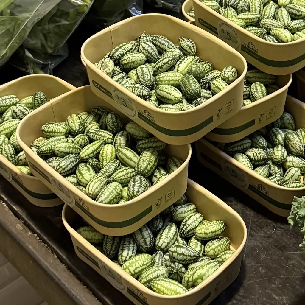 Fresh cucamelons from Kai Kai Farm – small green fruit that looks like a mini watermelon, perfect for salads, snacking, or pickling