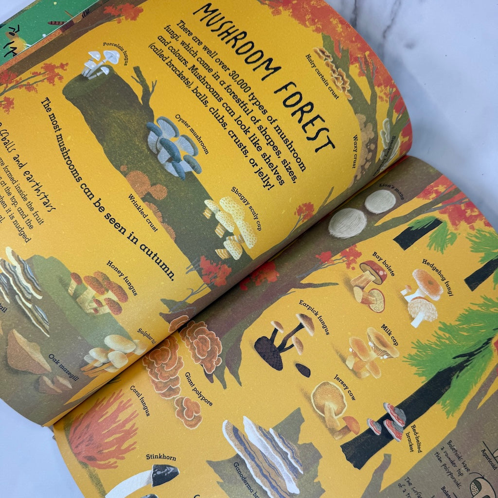 Open book with illustrations of mushrooms and text on a yellow background