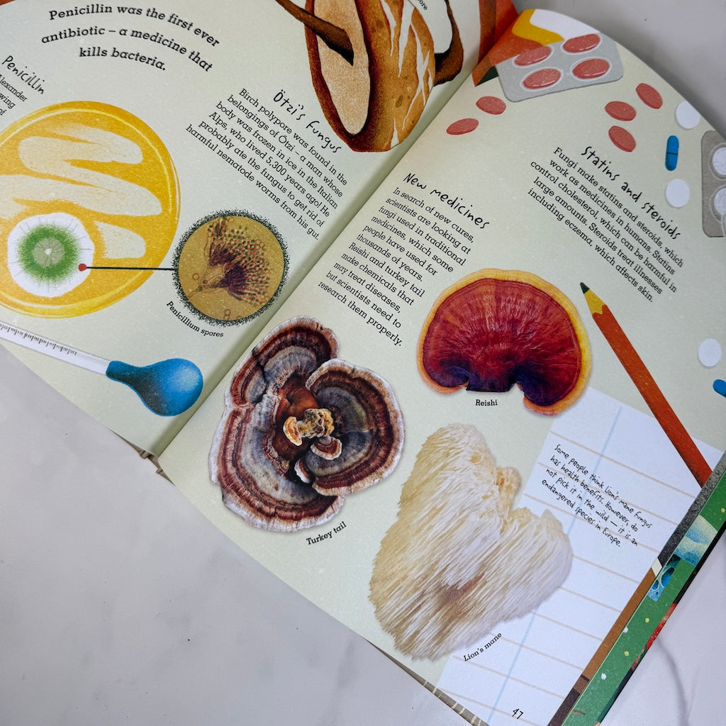 Open book with illustrations of mushrooms and text on a white surface