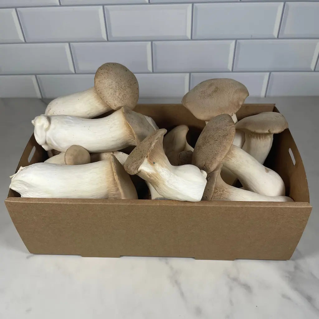 Large Box Of King Oyster Mushrooms