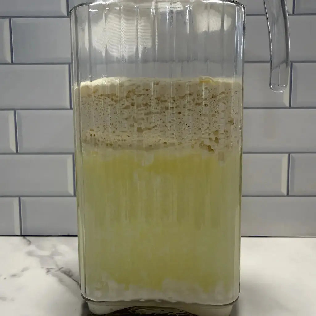 Lactic Acid Bacteria (LAB) Serum Kai Kai Farm