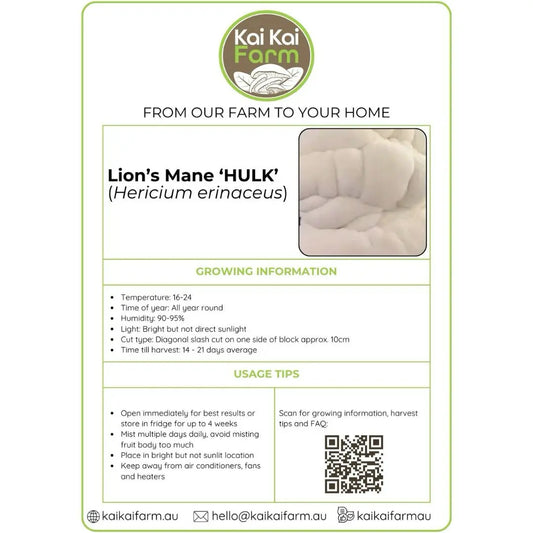 Information Sticker For Lion's Mane HULK Ready To Fruit Mushroom Block