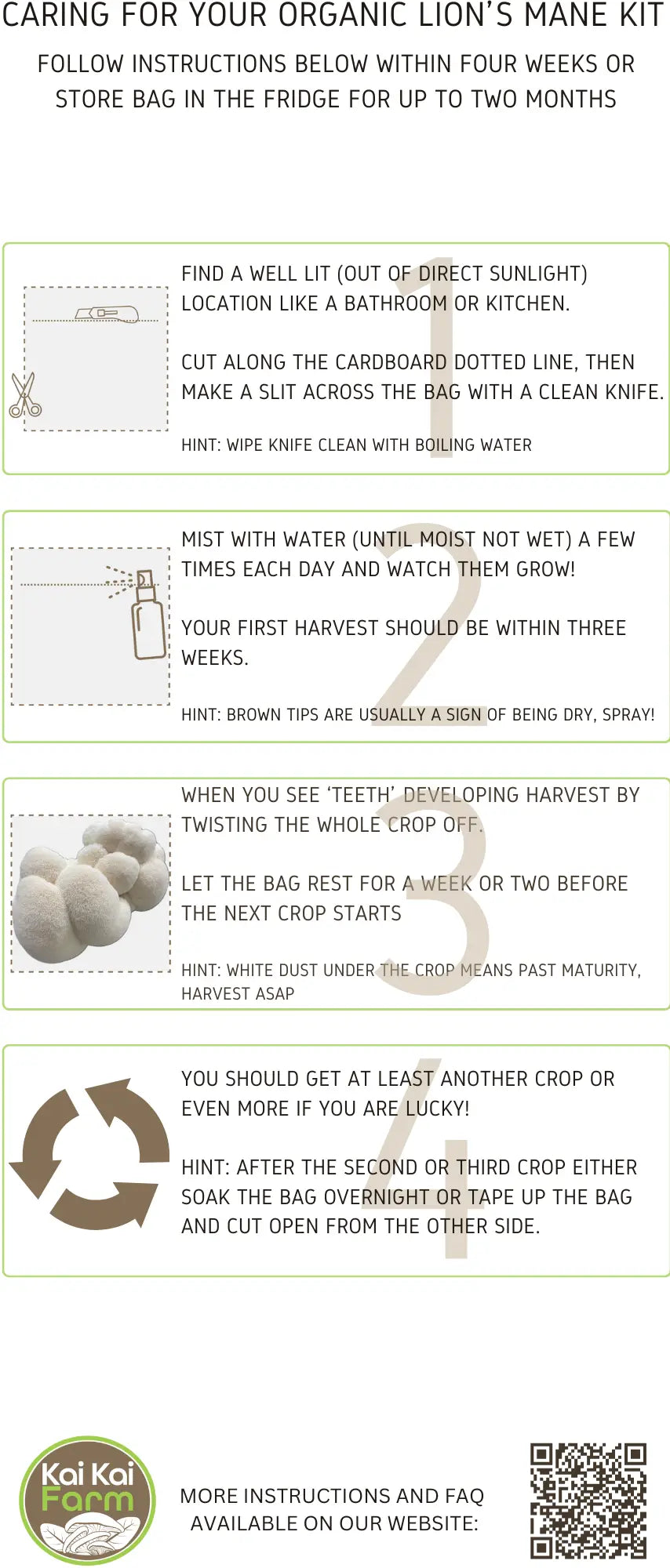 Organic Lion's Mane Mushroom Grow Kit Back With Instructions