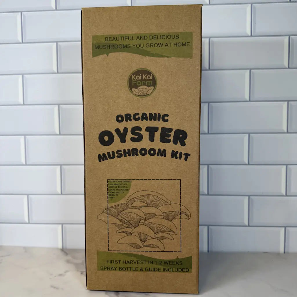 Front Of Organic Oyster Mushroom Grow Kit Box