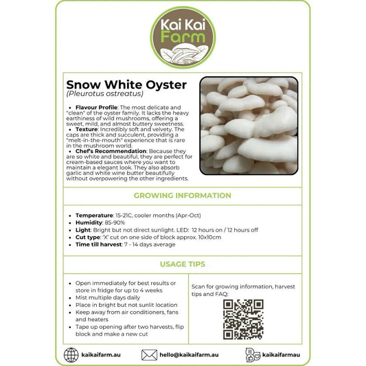 Information Sticker For Oyster Snow White Ready To Fruit Mushroom Block