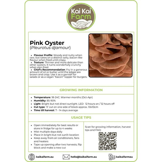 Pink 'Pleutotus djamour' Oyster Mushroom Ready To Fruit Block Label