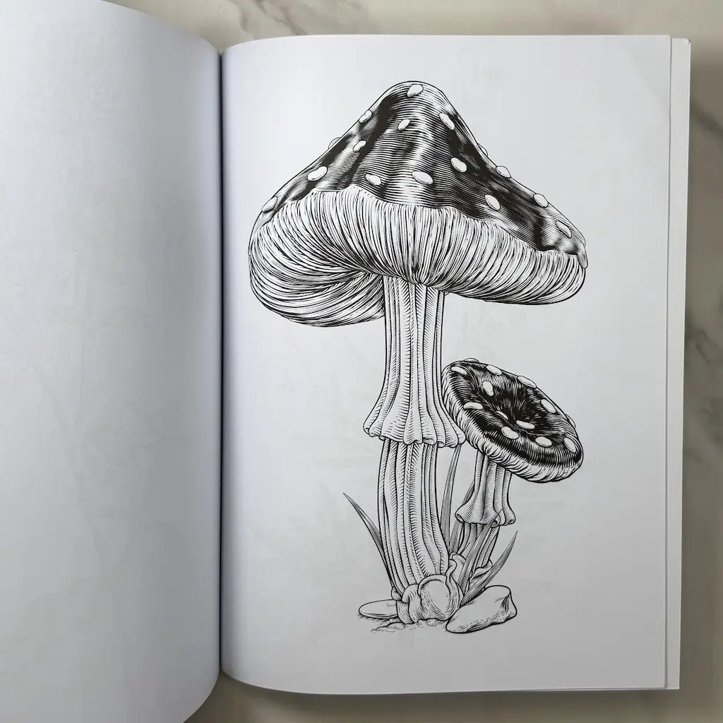 Plants, Herbs & Mushrooms Coloring Book