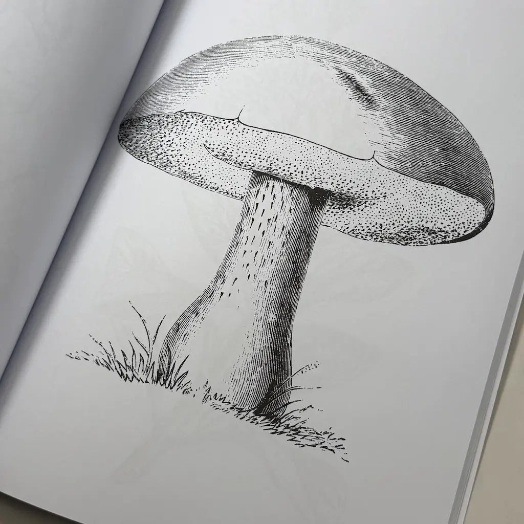 Plants, Herbs & Mushrooms Coloring Book