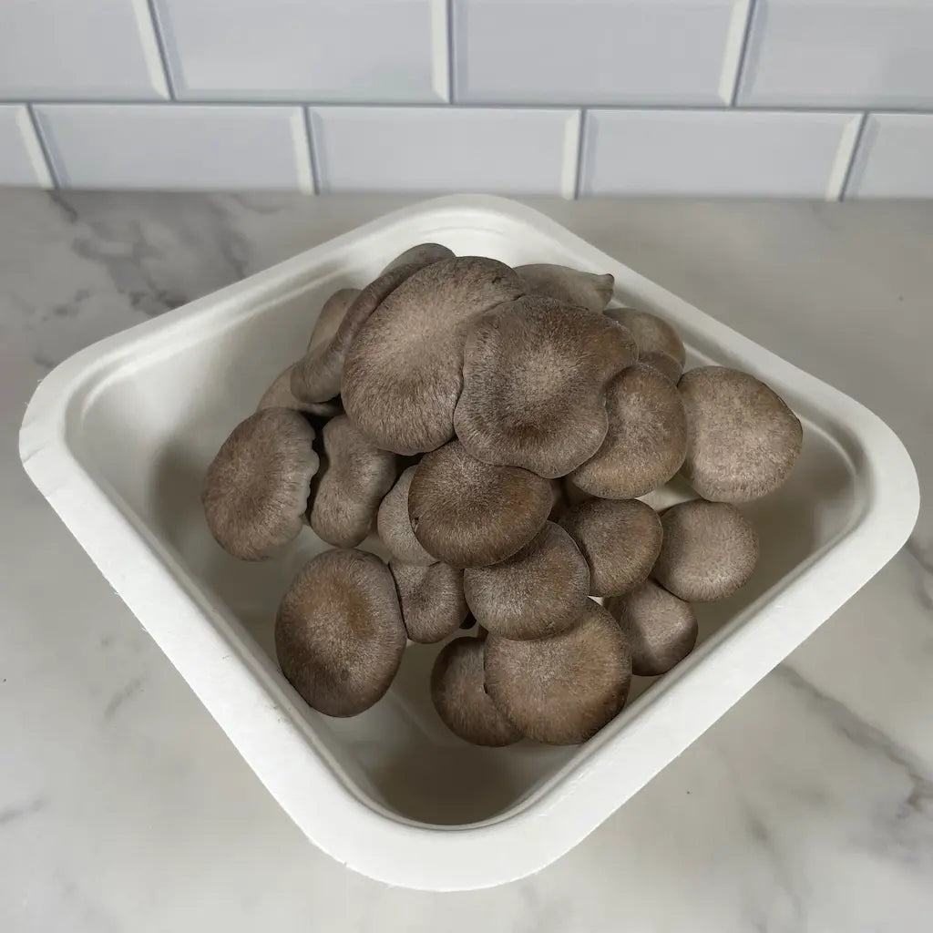 Small Box Of Shimofuri (Black Pearl King Oyster) Mushrooms