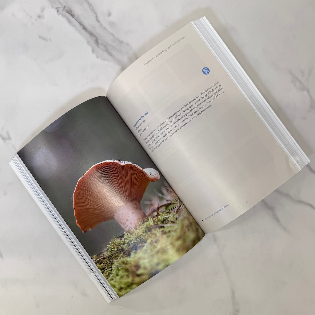 Open book with a photograph of a mushroom on a marble surface