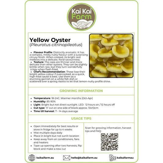 Information Sticker For Yellow Oyster 'Pleurotus Citrinopileatus' Commercial Ready To Fruit Block