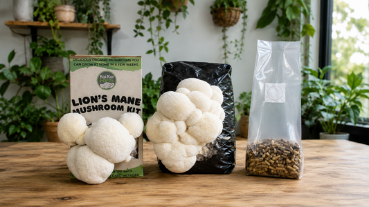 Mushroom Grow Kit vs Ready-to-Fruit Block vs DIY Substrate: Which Should You Buy?