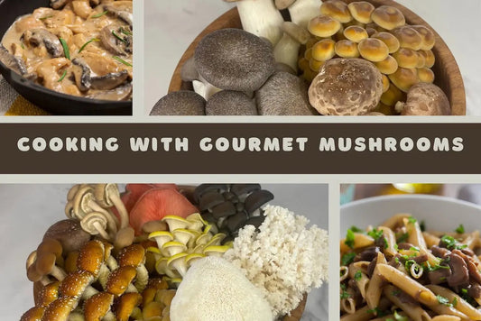 A Guide To Cooking With Gourmet Mushrooms Displaying Different Gourmet Mushrooms And Cooked Meals