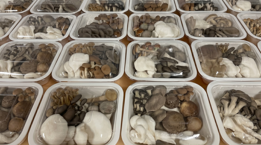 Where to Buy Fresh Gourmet Mushrooms Online in Australia (2026 Guide)