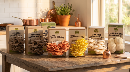 mushroom grow kit