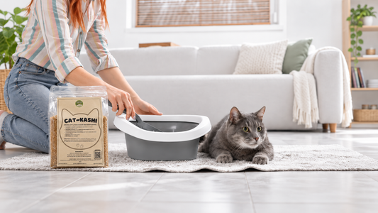 How to Compost Cat Poop Safely: Complete Guide & Tips 2026