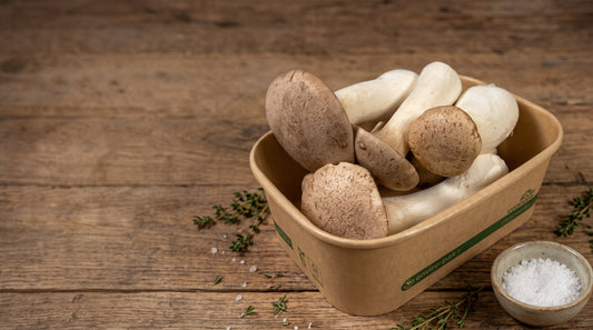 King Oyster Mushrooms: How to Grow, Cook and Buy Them in Australia