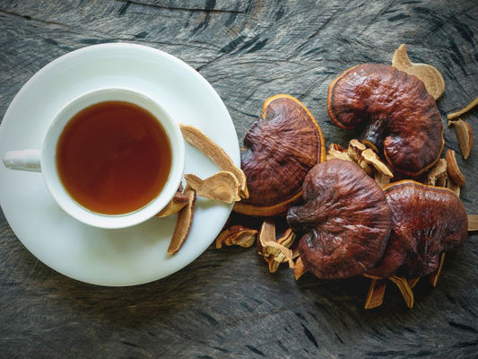 Reishi: Your Evening Ritual for Calm Focus & Restful Sleep
