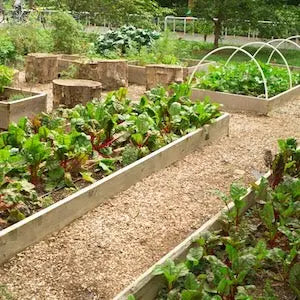 Kai Kai Farm's Bokashi Composting Collection