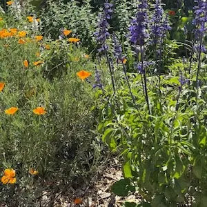 Kai Kai Farm's Home & Garden Collection