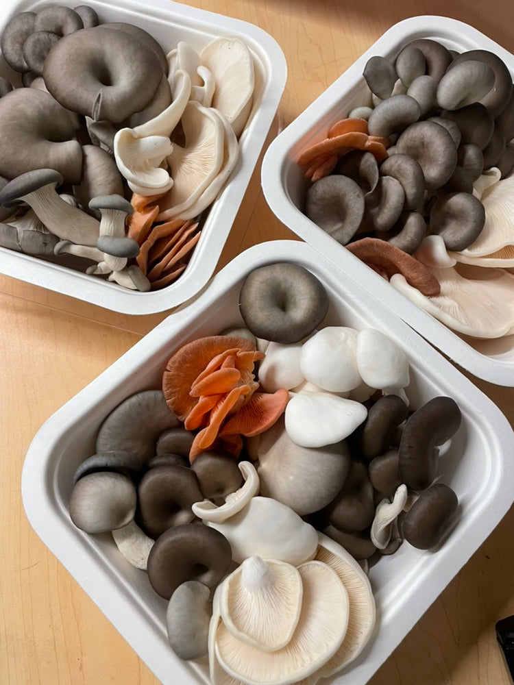 Fresh Gourmet Mushrooms