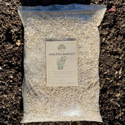 Malted Barley – The Enzymatic Engine for Living Soil Kai Kai Farm