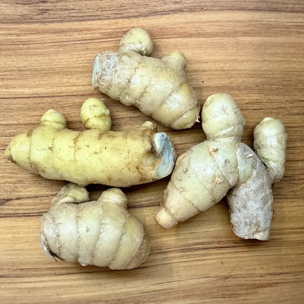 Black Turmeric Rhizomes – Curcuma caesia (Kali Haldi)