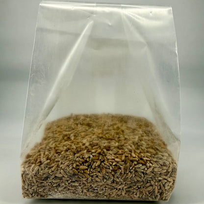 Pre-Mixed Grain Spawn Bags