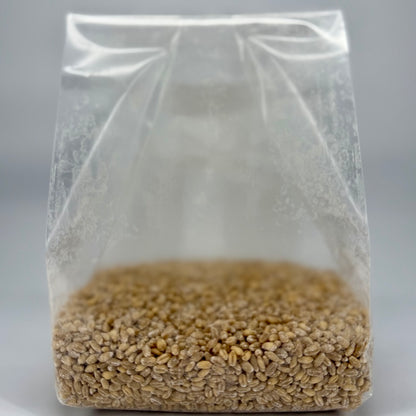 Pre-Mixed Grain Spawn Bags