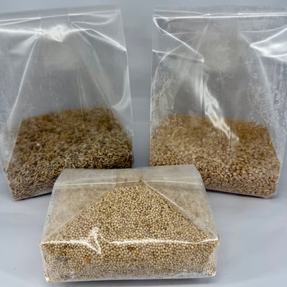 Pre-Mixed Grain Spawn Bags
