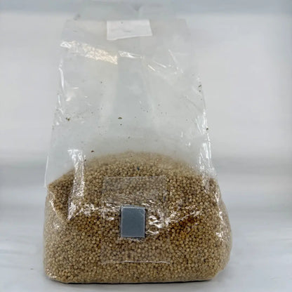 Pre-Sterilised Mushroom Grain Spawn Bags
