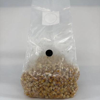 1kg Organic Corn Pre-Sterilised Grain Substrate Bag Injection Port
