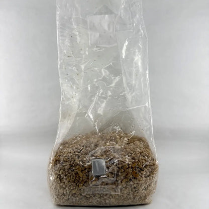 1kg Organic Wheat Pre-Sterilised Grain Substrate Bag Injection Port