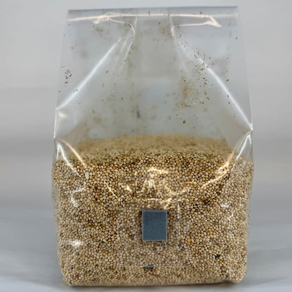 Pre-Mixed Grain Spawn Bags