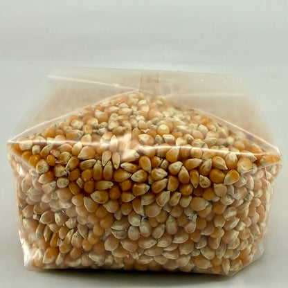 Pre-Mixed Grain Spawn Bags