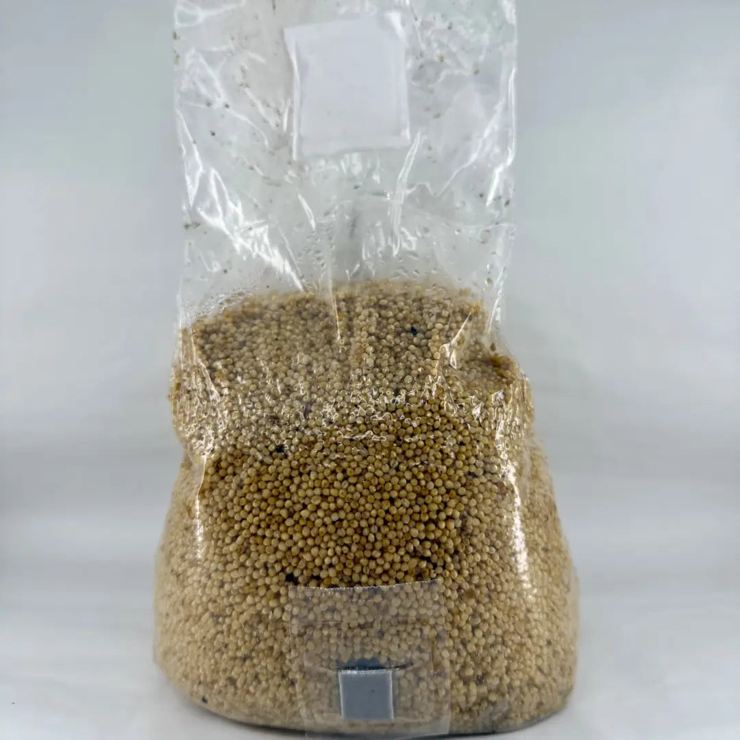 Pre-Sterilised Mushroom Grain Spawn Bags