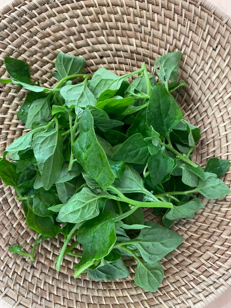 Warrigal Greens - Organically Grown and No Spray - Kai Kai Farm