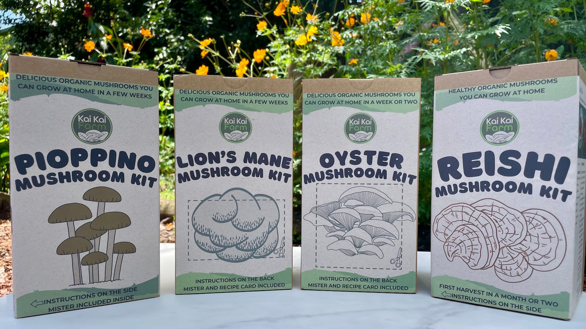 The Ultimate Bundle: 3 Mushroom Kits for $99 Delivered