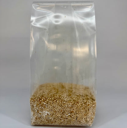 Pre-Mixed Grain Spawn Bags
