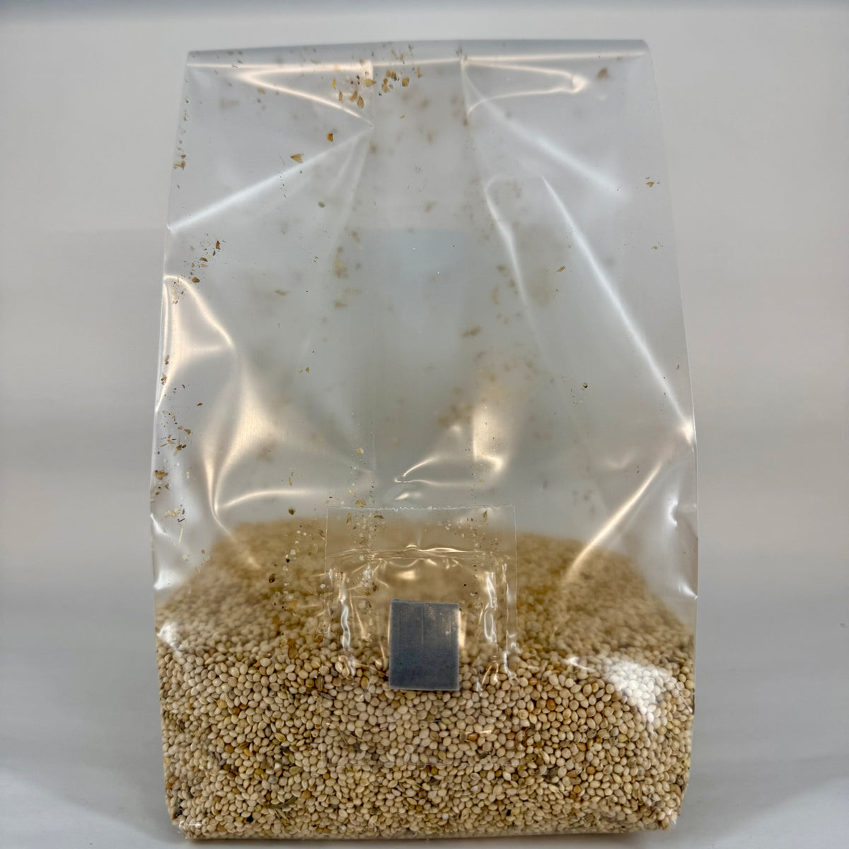Pre-Mixed Grain Spawn Bags