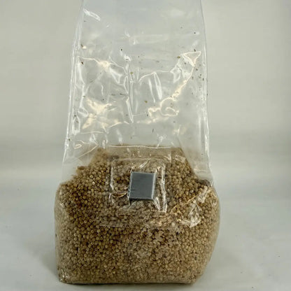 500g Millet Pre-Sterilised Grain Substrate Bag Injection Port