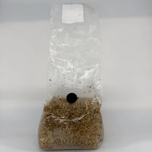 500g Millet Pre-Sterilised Grain Substrate Bag Injection Port