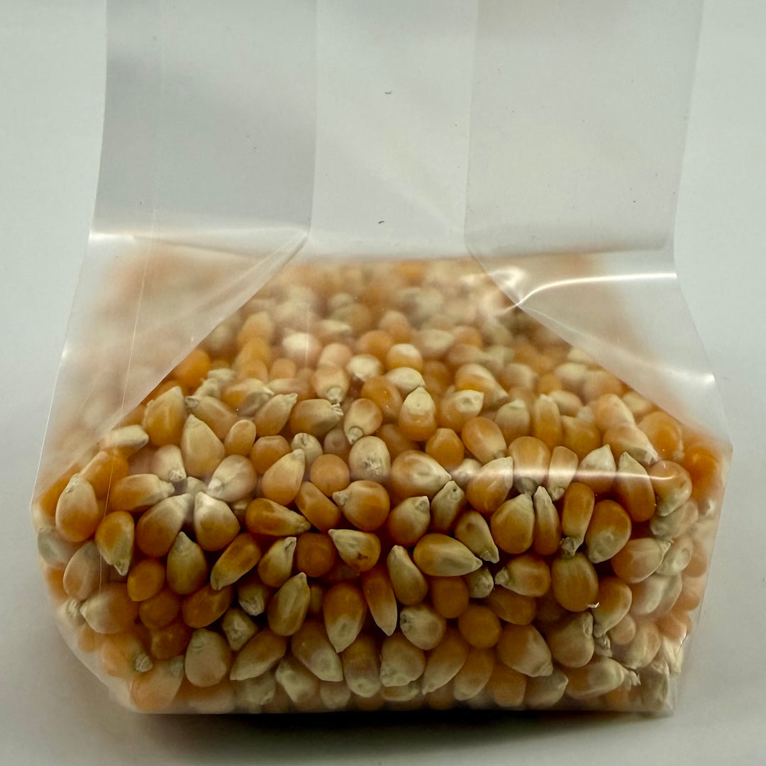 Pre-Mixed Grain Spawn Bags