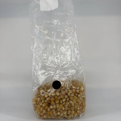 500g Organic Corn Pre-Sterilised Grain Substrate Bag Injection Port