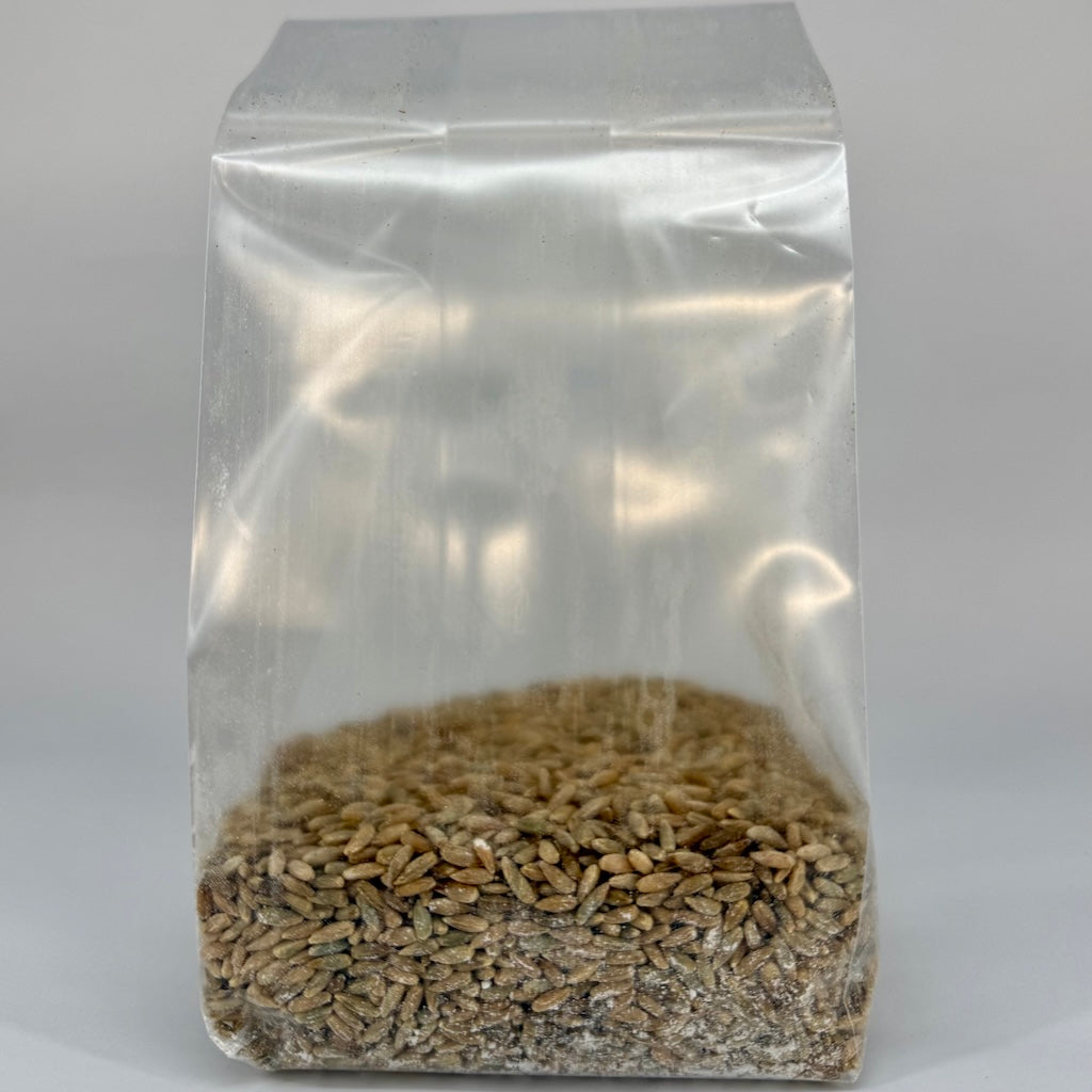 Pre-Mixed Grain Spawn Bags
